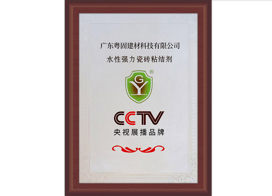 CCTV央视展播品牌
